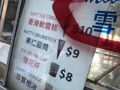 -富豪雪糕车流动点(尖沙咀店)