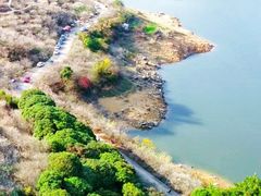 -广州市流溪河国家森林公园