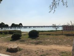 -丁香湖公园