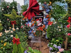 -正佳雨林生态植物园