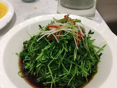 葱油豌豆尖-北李妈妈菜·海肠捞饭(高新万达店)