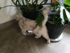 -研途咖啡馆(健康路店)