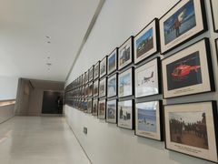 -罗红摄影艺术馆