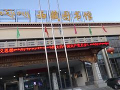 -西藏自治区图书馆