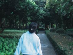 -南宁南湖公园