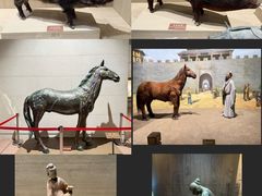 -中国农业博物馆