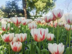 -长春公园(普阳街道)