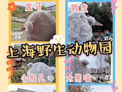 -上海野生动物园