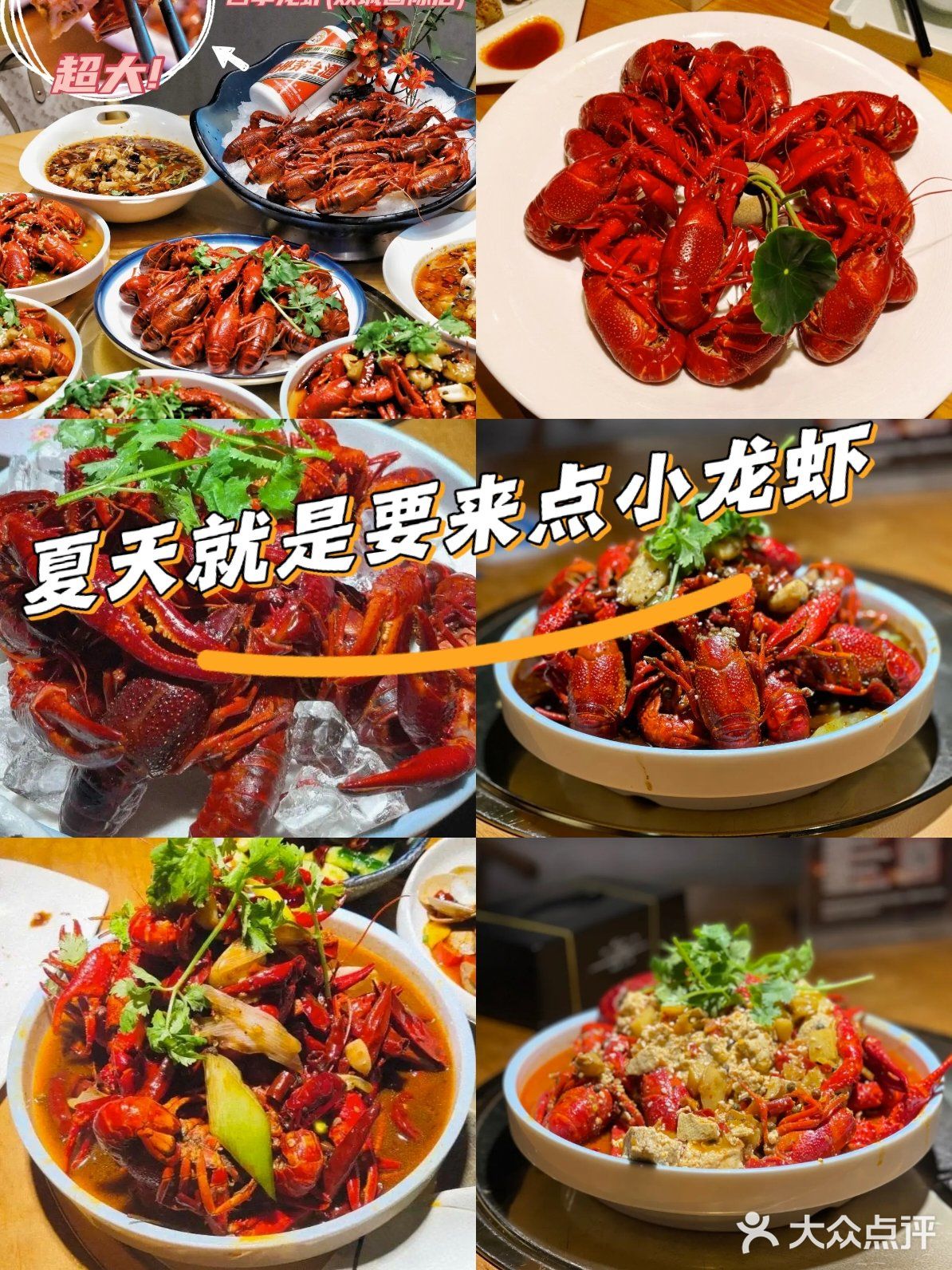 夏天必备