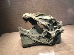 -自贡恐龙博物馆