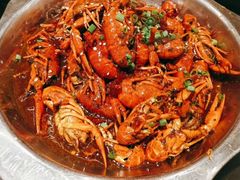 -不炭白烧烤(成都首店)