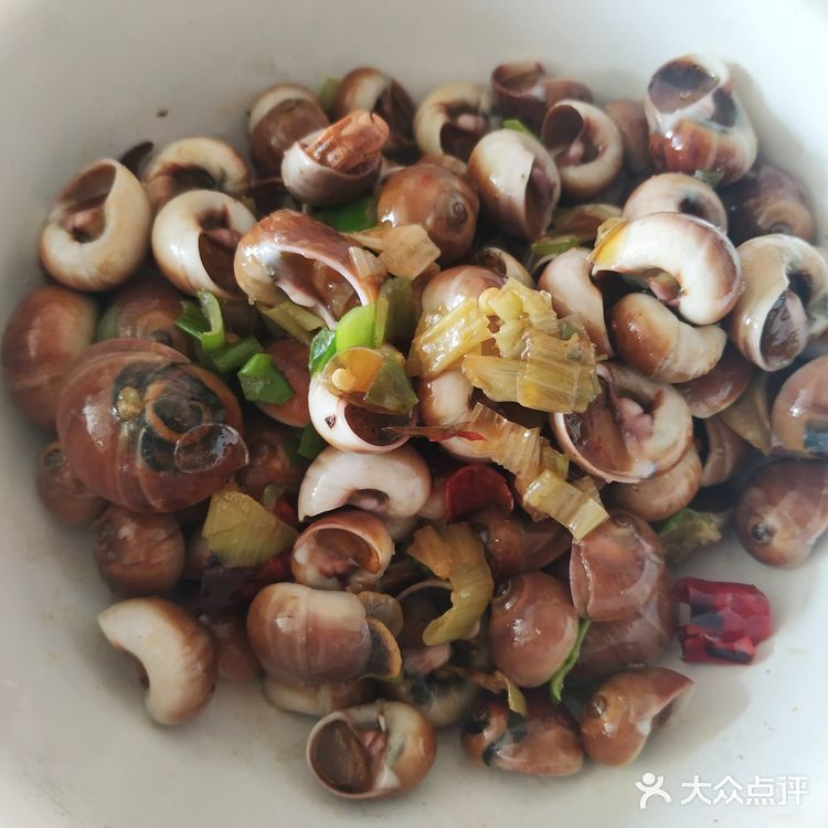 辣炒肚脐波螺,大连海鲜花样做