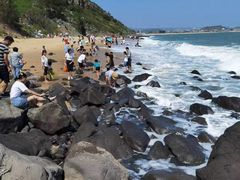 -漳州滨海火山岛自然生态风景区