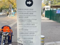 -三里屯东五街银杏大道