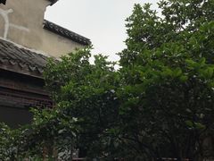 -古韵轩·江浙融合菜(梁溪店)