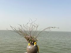 -洪泽湖古堰景区