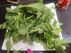 -蜀九香火锅(彩虹店)