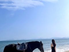 -玫瑰海岸文化旅游度假区