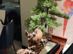 -顺峰(农展馆店)