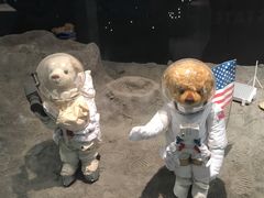 -济州岛泰迪熊博物馆