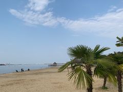 -瑶湖郊野森林公园