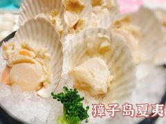 -红鼎豆捞·非遗鲍皇汤火锅(宝丰路店)