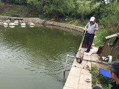 iphone_upload_pic-大连北马山庄