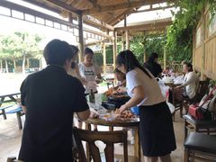-蒲河岛湿地公园