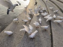 -上海交通大学(闵行校区)