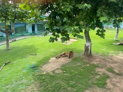 -西霞口神雕山野生动物世界