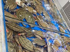 -北塘海鲜·天津菜(大光明桥旗舰店)