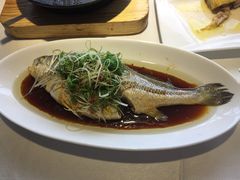 -梧桐餐厅(泉城路店)