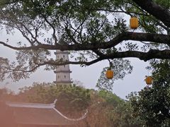 -江心屿景区