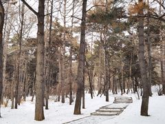 -长春市南湖公园