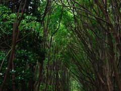 -同里国家湿地公园