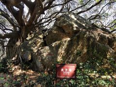 -宋井风景区