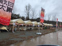 -千年银杏谷文化旅游区