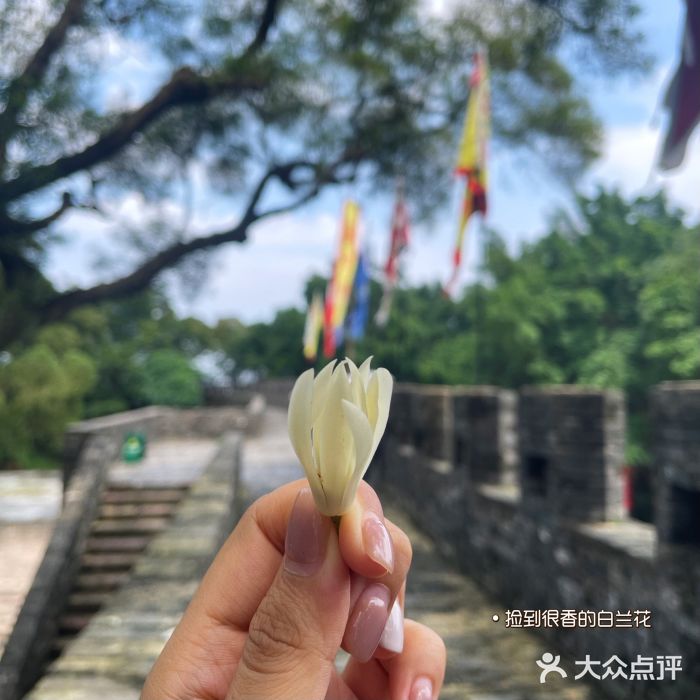 广州莲花山旅游区图片