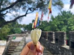 -广州莲花山旅游区
