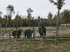 -秦皇岛野生动物园