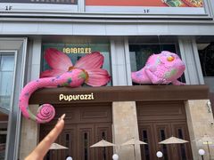 -帕帕拉兹宠物(亚洲旗舰店)