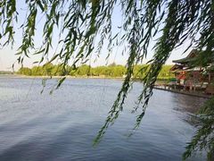-济南大明湖景区