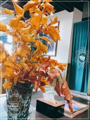 -TWOFACE 双面理发馆