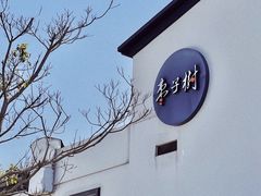 -枣子树·素食餐厅(普陀山店)