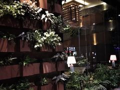 -巴别塔法餐舍(朝阳店)