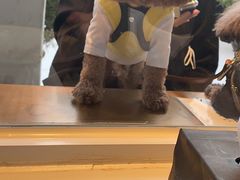 -漆黑觉米粉(三里屯店)