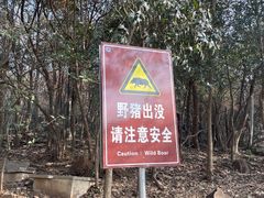 -紫金山天文台