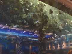 -瑞德姆美人鱼海底演艺主题餐厅(亚龙湾店)
