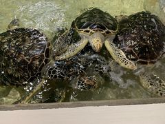 -常州海昌海洋探索馆