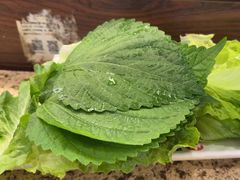 -東門韩国传统烤肉·韩国料理(银座直营店)